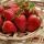 RECETA DE SORBETE DE FRESA