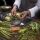 RECETA DE MENESTRA DE VERDURAS