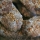 TORTA DE CHICHARRONES O COCA DE LLARDONS