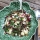 RECETA DE ENSALADA DE COLIFLOR (EN TRES TEXTURAS) DE OTTOLENGHI