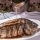 RECETAS PARA NAVIDAD 2023 - EBOOK