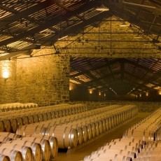 BODEGAS CVNE